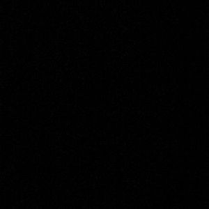 Meet your Posher, Rylee